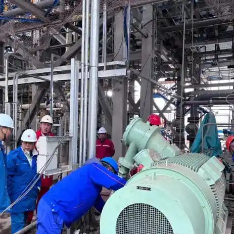 高压电机试验项目及标准